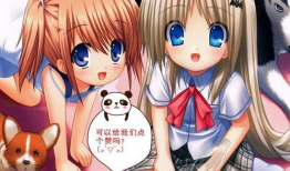 动漫胸,探寻二次元世界的魅力之源